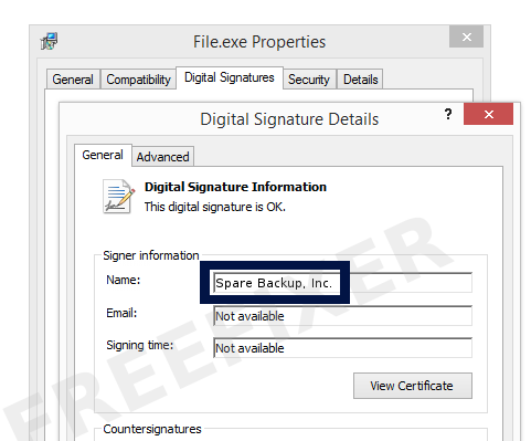 Screenshot of the Spare Backup, Inc. certificate